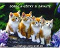 Dobr� a ��itky si d�vajte