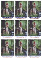 Vesm��anka na dom�c� planet�