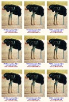 P�tros s hlavou v p�sku jako n�kte�� lid�