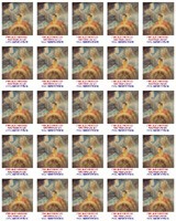 P�n Je�� Kristus n� navig�tor