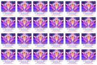 VZESTUP L�SKOU, ZM�NOU VIBRACE (DUHA)