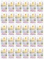 Duchovn� zlat� br�na - volby lid�