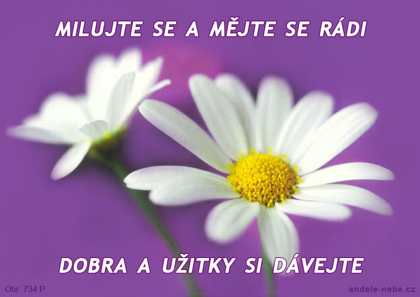 Dal�� 